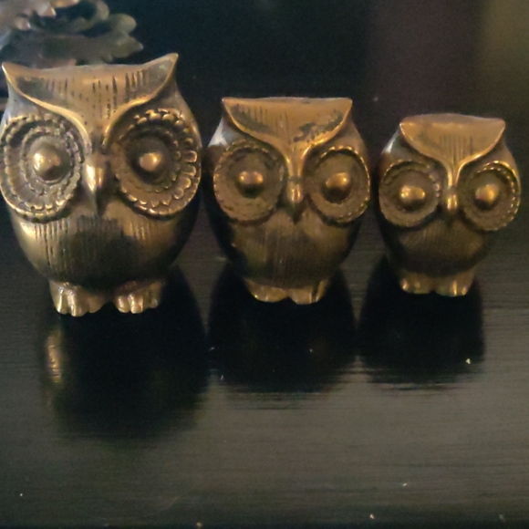 Brass owls - Picture 1 of 7